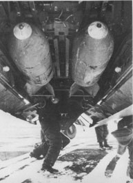 Sc500-2 Do217E4.jpg (16087 Byte)