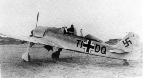 Fw190A1-1.jpg (36015 Byte)