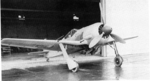 Fw190A2-1.jpg (32432 Byte)