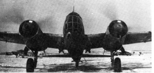 Ju88D1-1.jpg (16515 Byte)