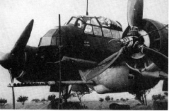 Ju88P1-1.jpg (20059 Byte)