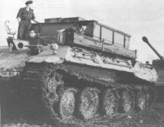 PantherBerge-1.jpg (13223 Byte)