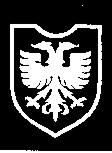 21GebDivSS-1.jpg (7335 Byte)