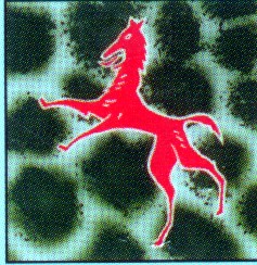 8JG2-1.jpg (36327 Byte)