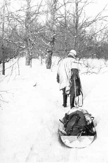 215ID-3.jpg (26029 Byte)