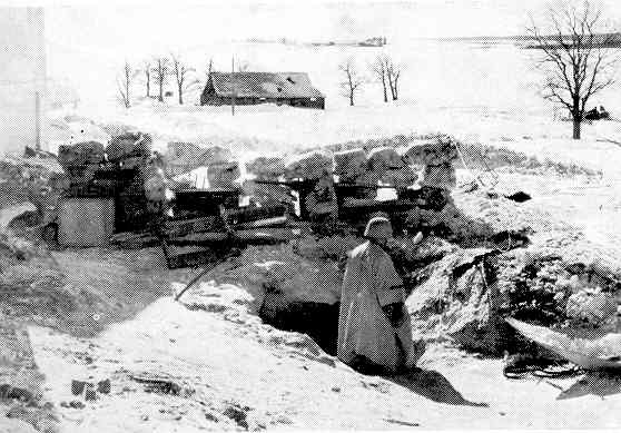 215ID-5.jpg (35522 Byte)