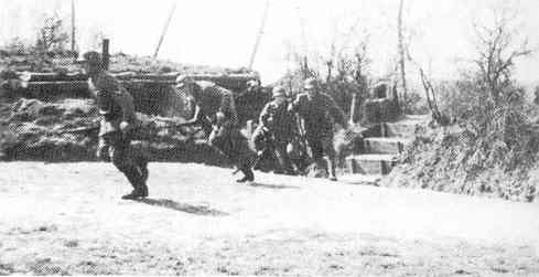 302ID-4.jpg (12859 Byte)