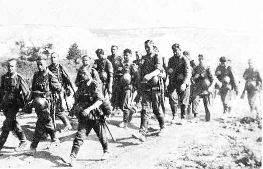 62ID-5.jpg (21529 Byte)