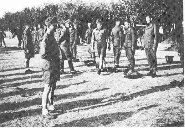 65ID-3.jpg (38545 Byte)