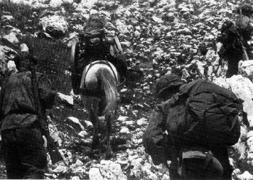 7SSGebD-3.jpg (47180 Byte)