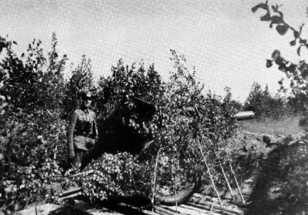 AR10-1.jpg (57461 Byte)