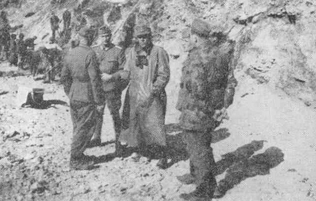 PiBat80-1.jpg (87417 Byte)